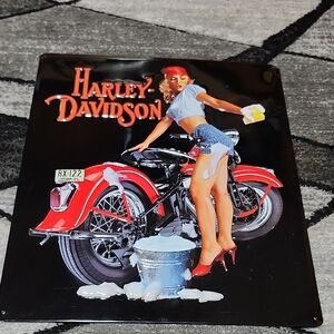 HARLEY DAVIDSON EMBOSSED "WASH BABE" 2008 ANDE ROONEY METAL TIN SIGN
